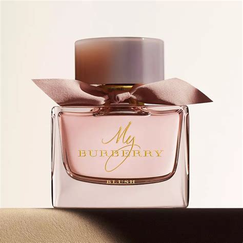 burberry blush smells like|best discontinued Burberry fragrance.